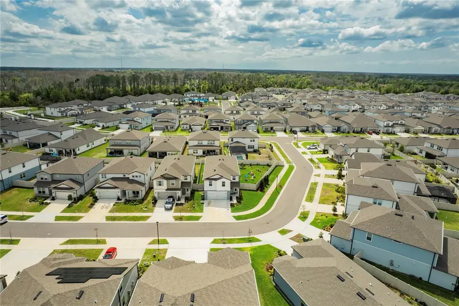 20864 Cherry River Road, Land O Lakes, FL 34638 - #3