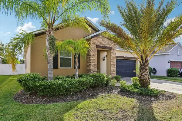 11767 Winterset Cove Drive, RIVERVIEW, FL 33579