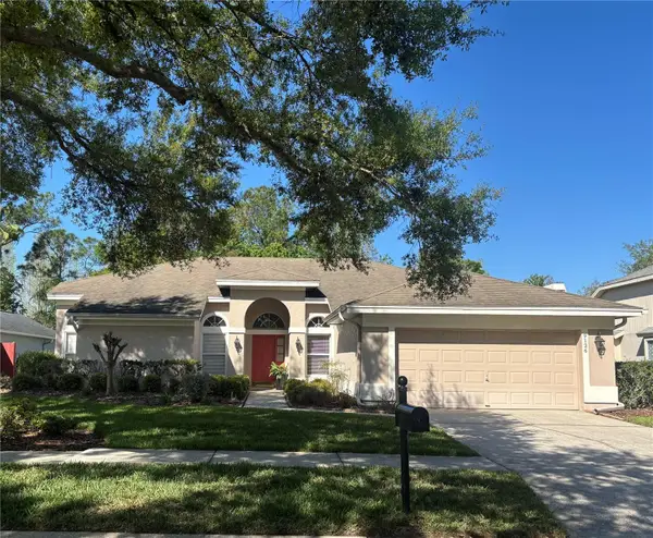 9126 Rockrose Drive, TAMPA, FL 33647