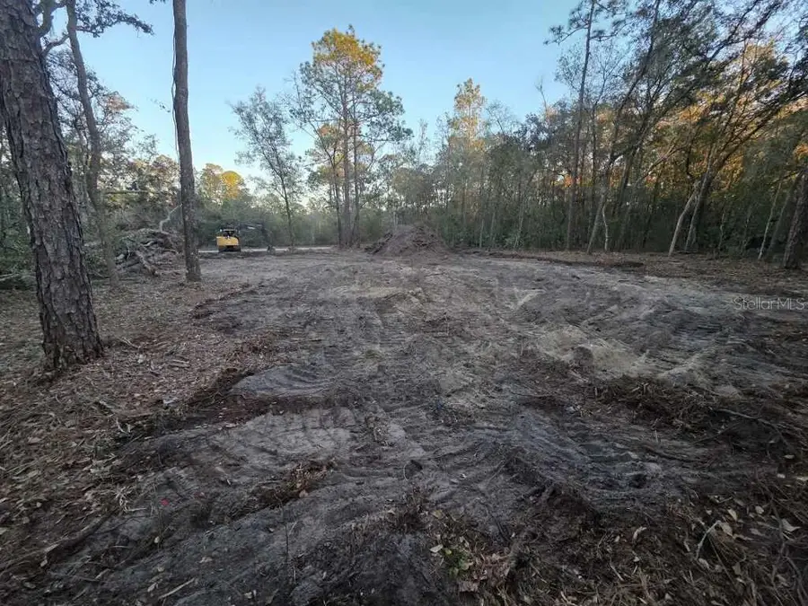 129 Seminole Avenue, Interlachen, FL 32148 - #3