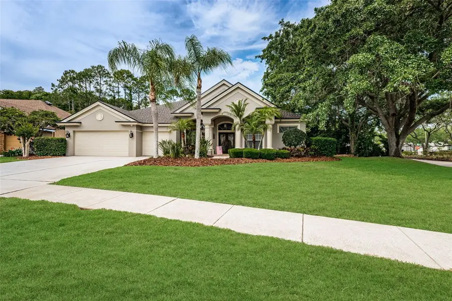 4604 Ayron Terrace, Palm Harbor, FL 34685 - #2
