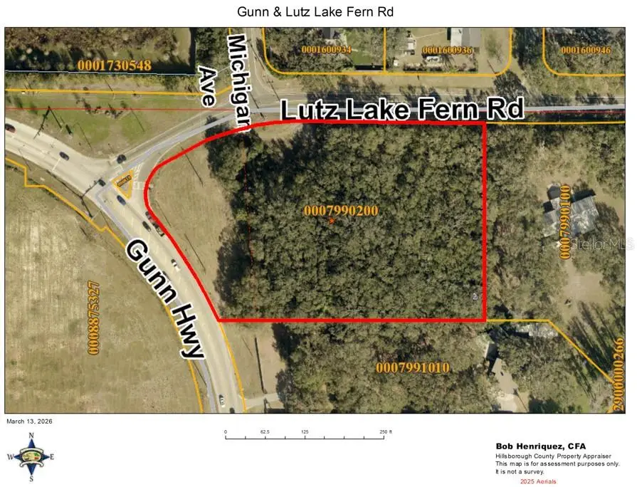 Lutz Lake Fern Road, Odessa, FL 33556 - #2