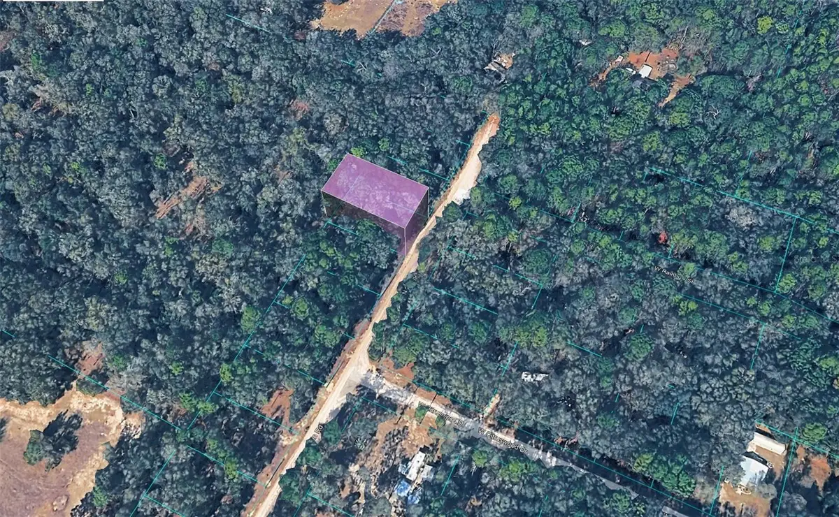 10452 N Dunedin Road, Dunnellon, FL 34433 - #1