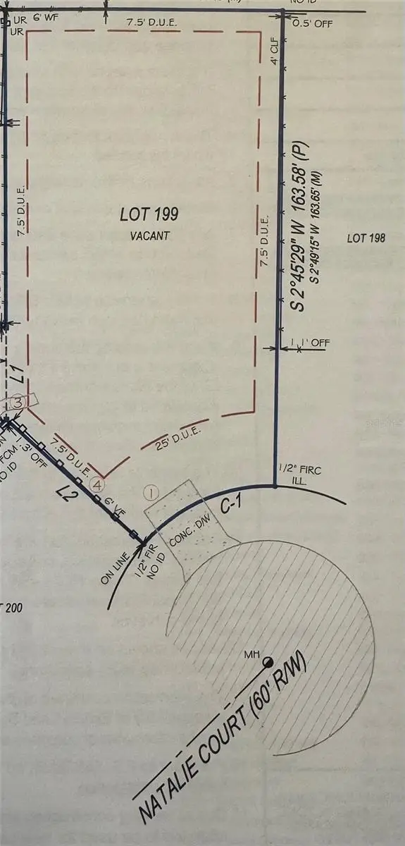 Natalie Court, Land O Lakes, FL 34639 - #3