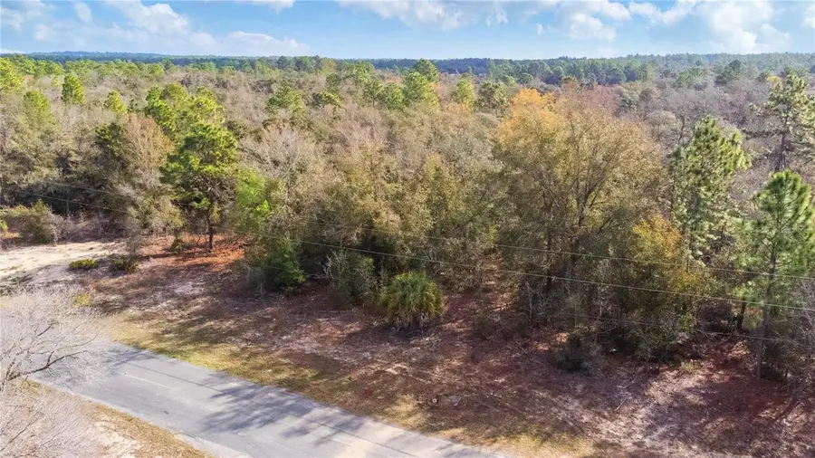 2257 N Stampede Drive, Beverly Hills, FL 34465 - #3