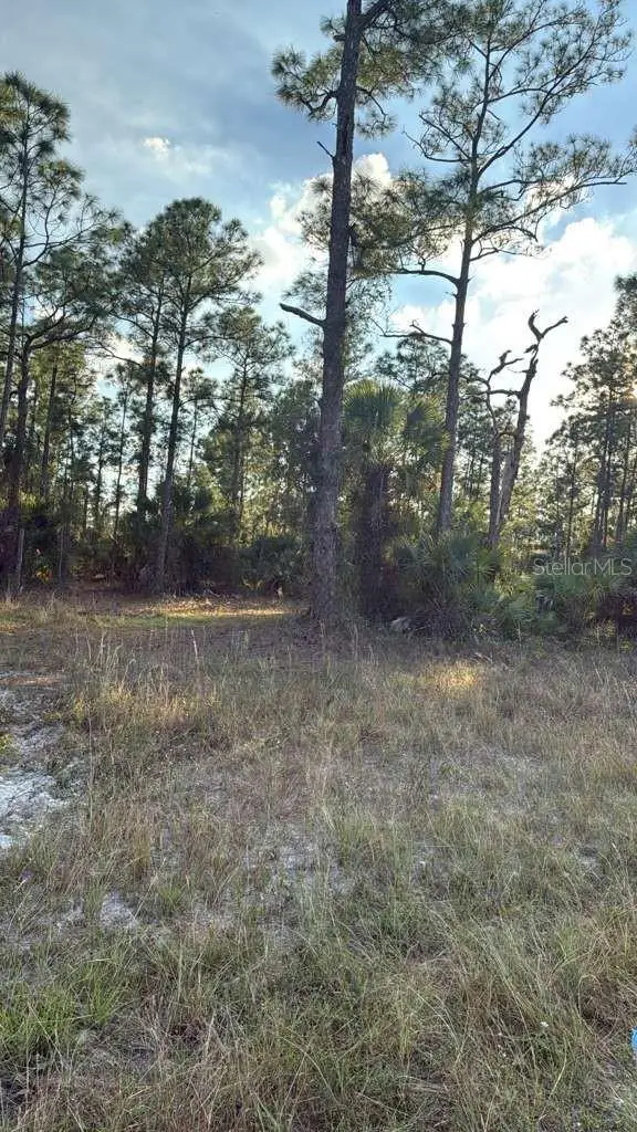 918 Belmont Street E, Lehigh Acres, FL 33974 - #3