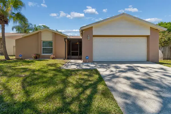 14827 Oak Vine Drive, LUTZ, FL 33559