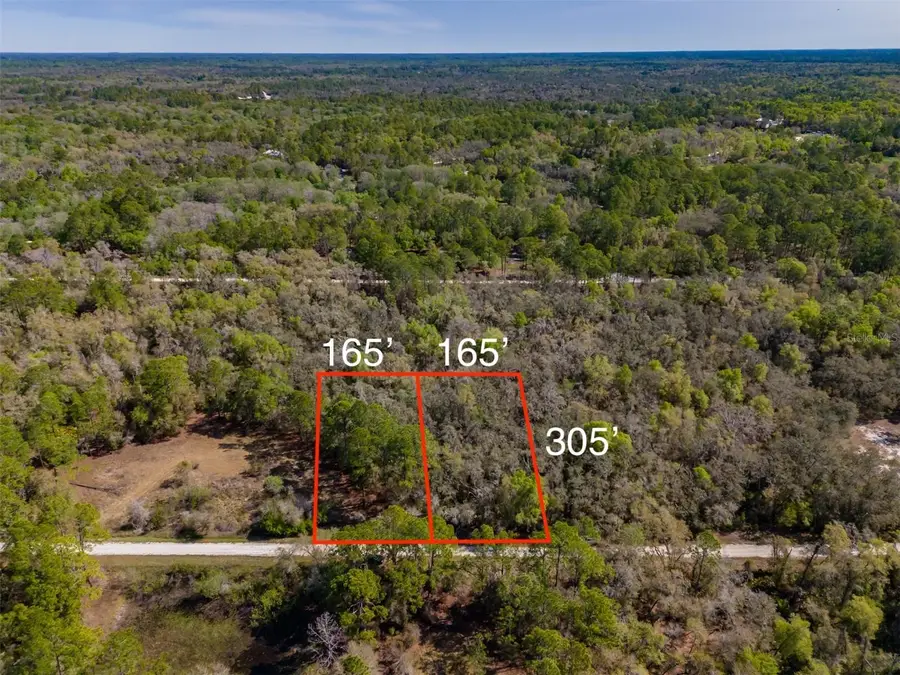 7252 Sonia Avenue, Webster, FL 33597 - #2