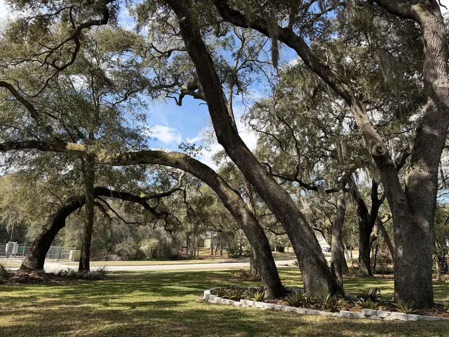 597 Sand Wedge Loop, Apopka, FL 32712 - #3