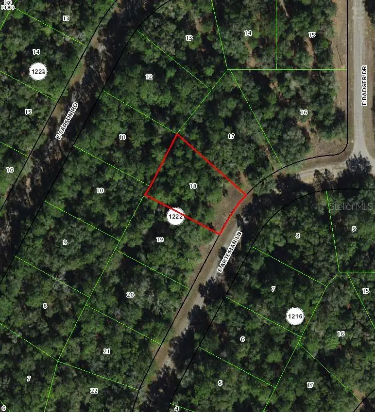 8518 N Escobar Road, Dunnellon, FL 34434 - #2