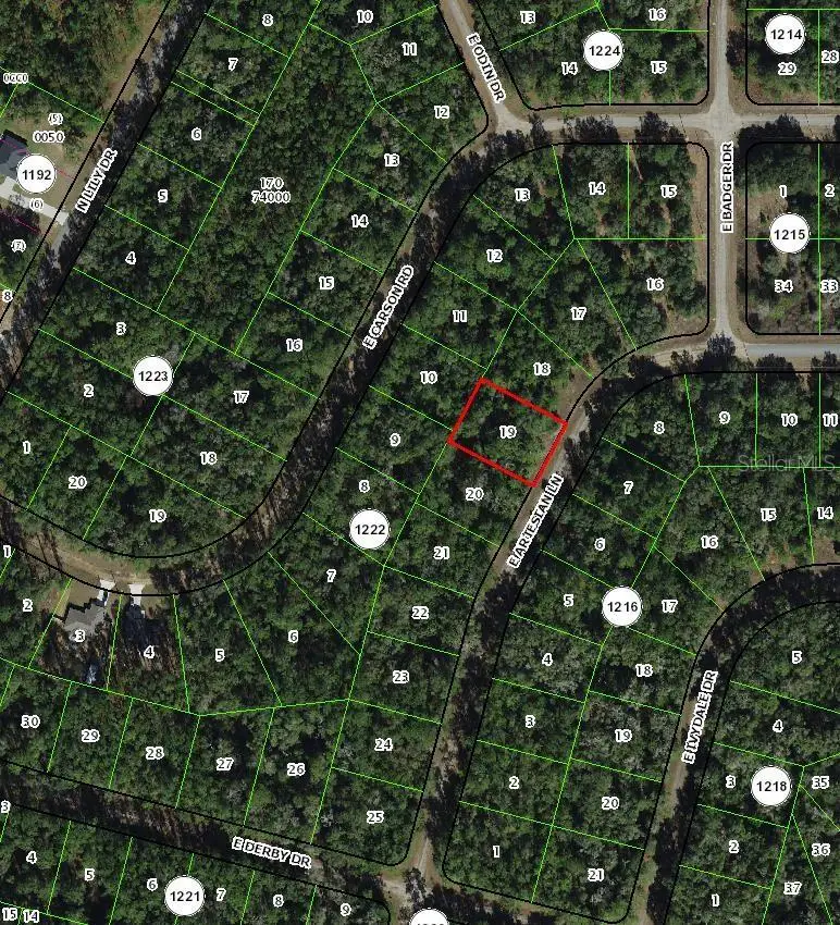 8516 N Escobar Road, Dunnellon, FL 34434 - #3