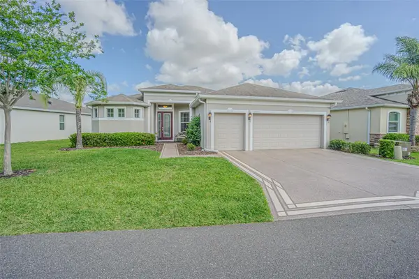 29203 Grass Bunker Drive, SAN ANTONIO, FL 33576