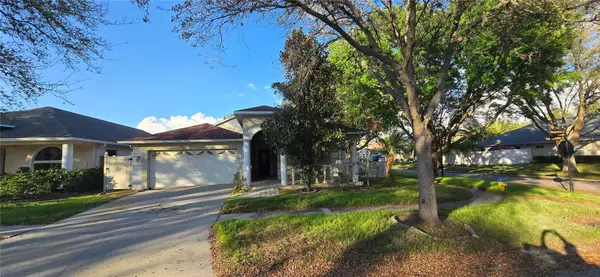 1810 Greystone Heights Drive, VALRICO, FL 33594