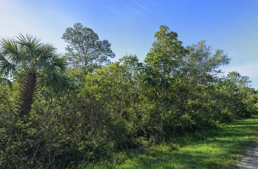 0 Sabel Palm Street, Cocoa, FL 32926 - #2