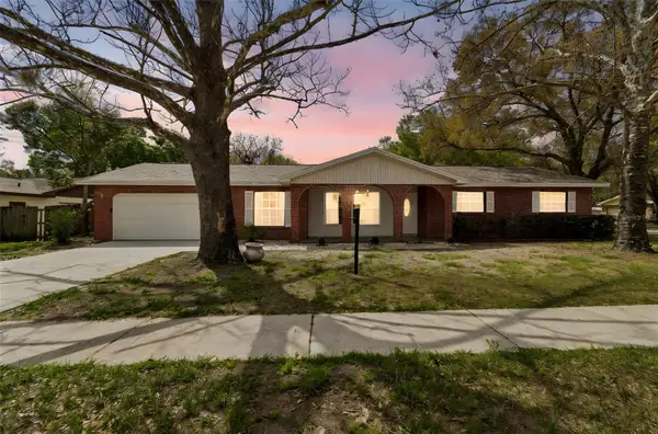 3817 Twilight Drive, VALRICO, FL 33594