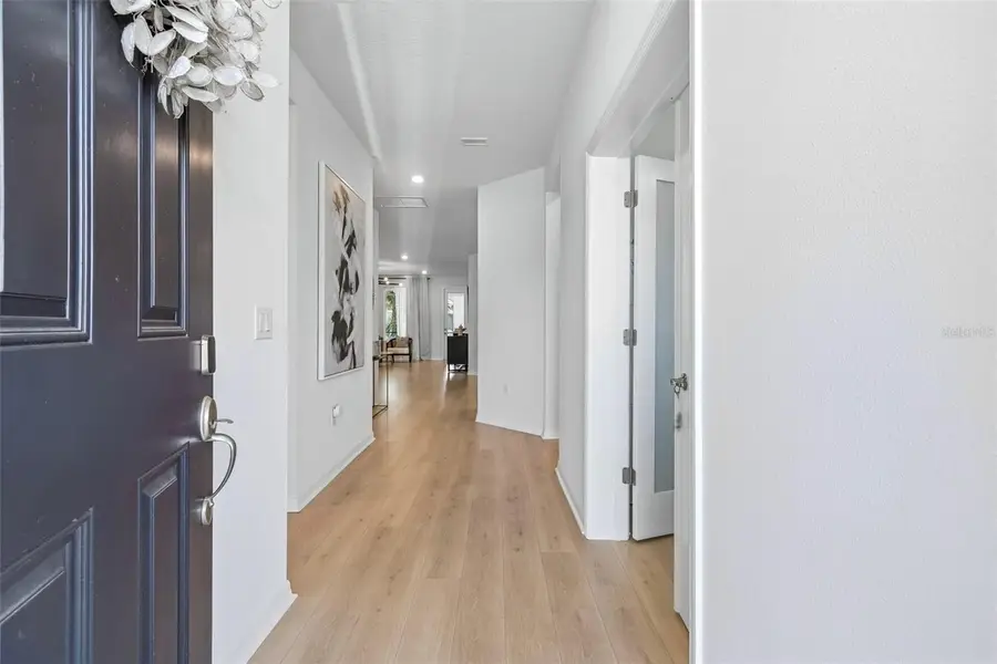 28570 Sweet Persimmon Drive, Wesley Chapel, FL 33543 - #3