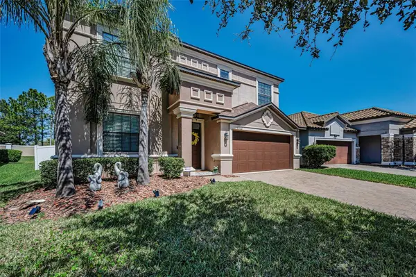 11922 Frost Aster Drive, RIVERVIEW, FL 33579