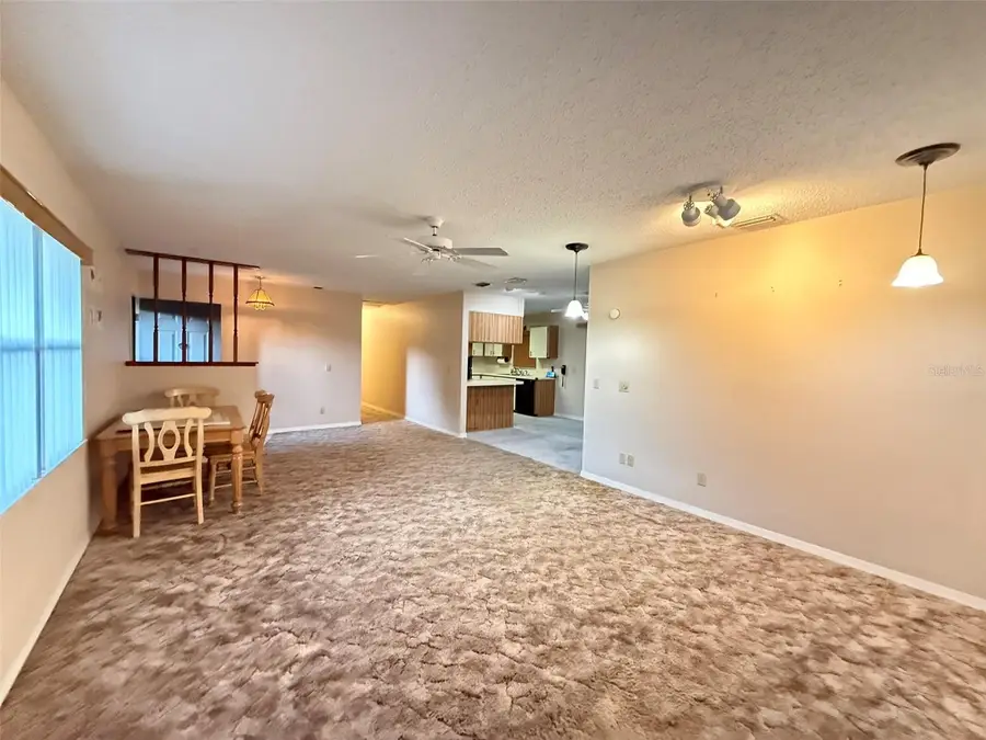 2122 Cr 437a, Lake Panasoffkee, FL 33538 - #3