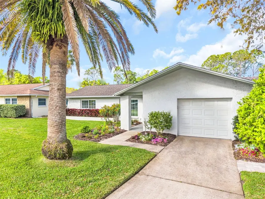 2869 Doone Circle, Palm Harbor, FL 34684 - #3