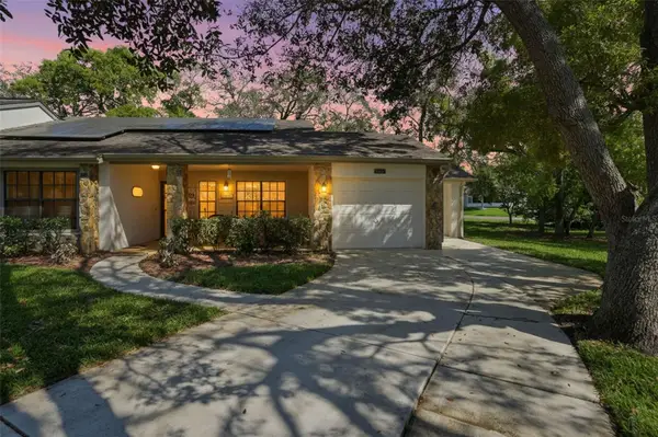 6630 Brambleleaf Drive, SPRING HILL, FL 34606