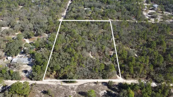 4845 W Herman Court, HOMOSASSA, FL 34446