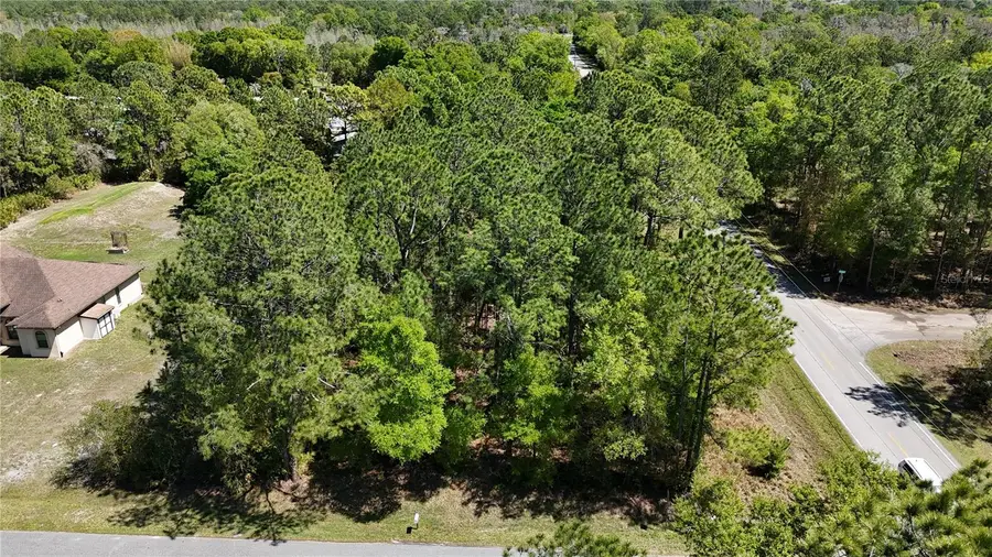Pine Lands Dr, Wesley Chapel, FL 33544 - #3