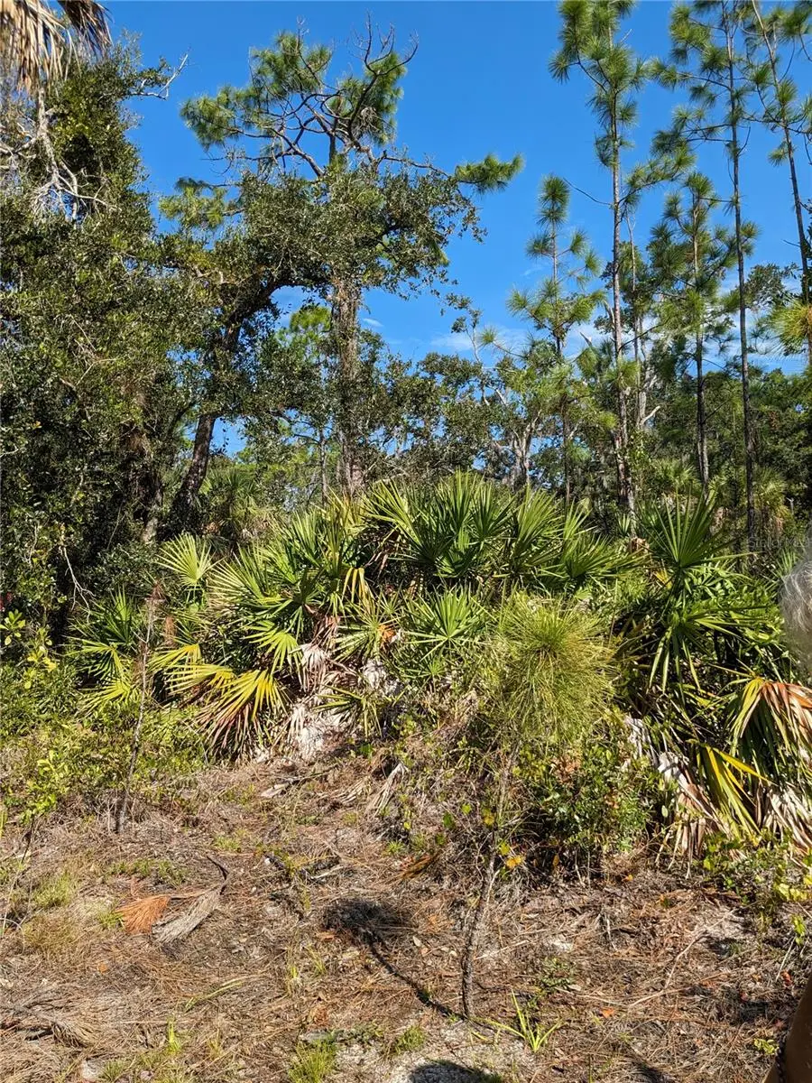 492 Biscayne Drive, Port Charlotte, FL 33953 - #3