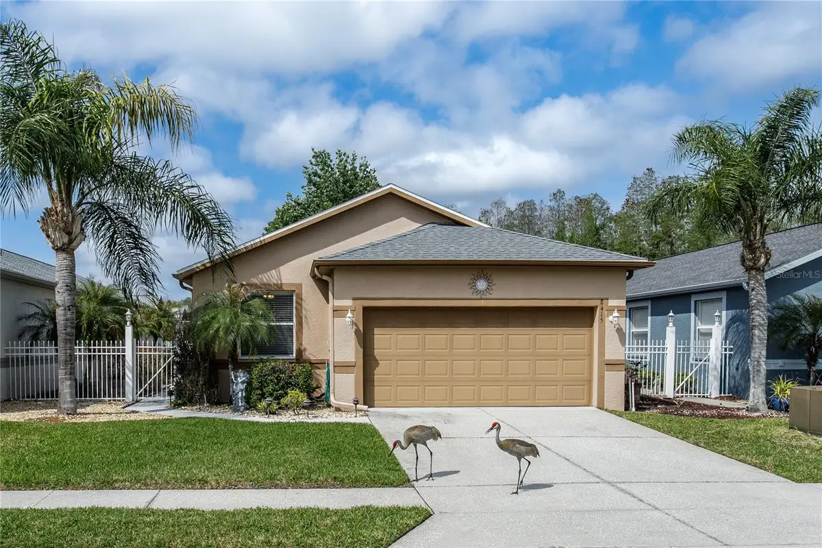 8415 Tarocco Court, Land O Lakes, FL 34637 - #1