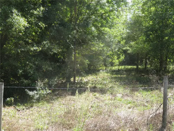 Address Withheld By Seller, SAN ANTONIO, FL 33576