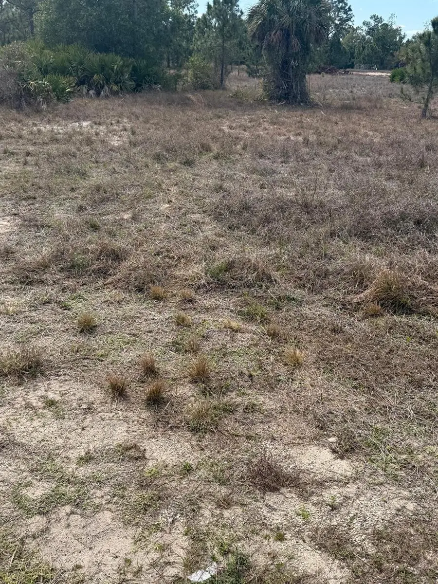 1511 Columbus Avenue, Lehigh Acres, FL 33972 - #1