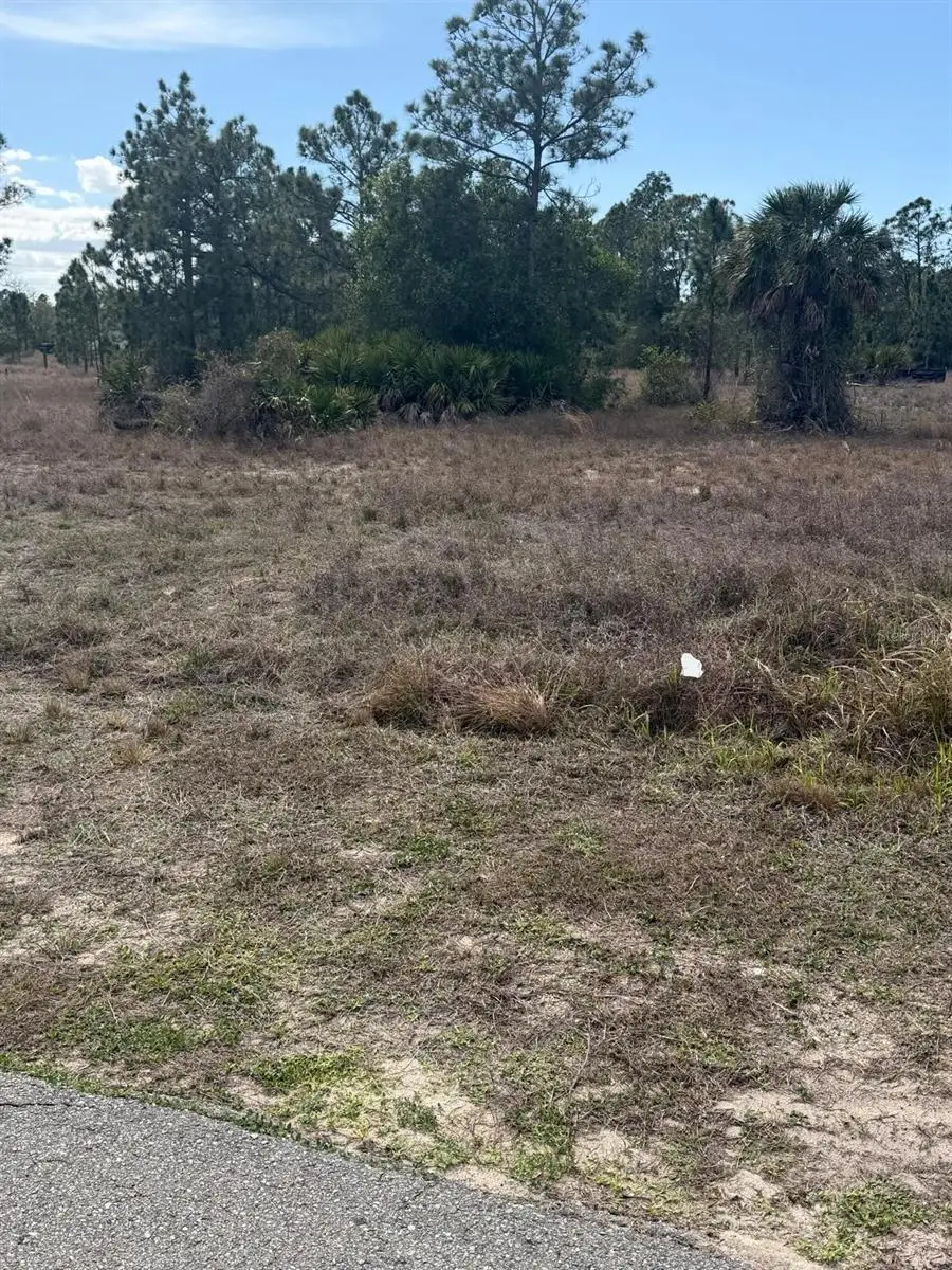 1511 Columbus Avenue, Lehigh Acres, FL 33972 - #3