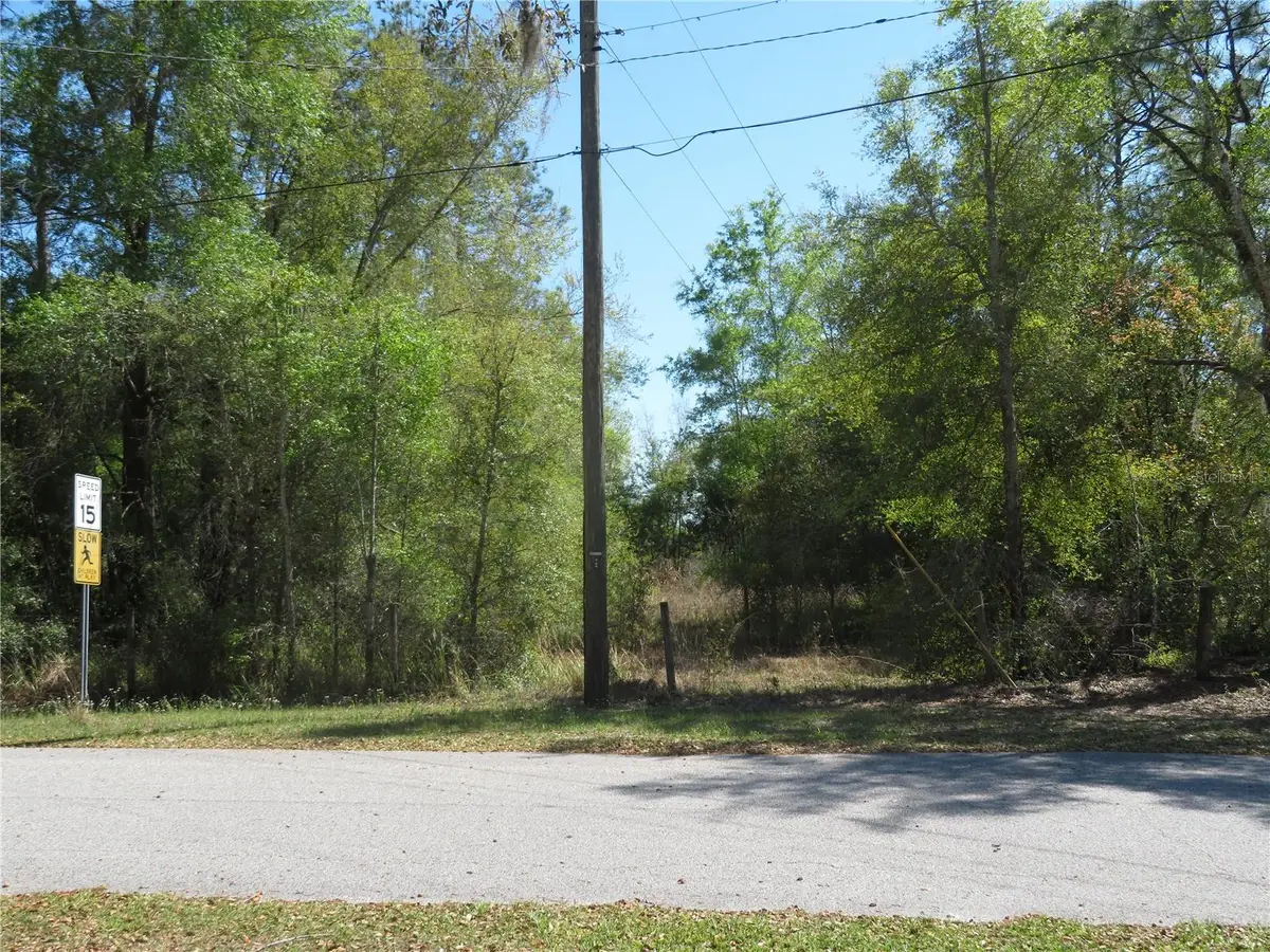 Address Withheld By Seller, San Antonio, FL 33576 - #1