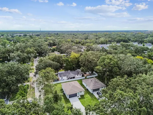 14771 N 30th Street, LUTZ, FL 33559