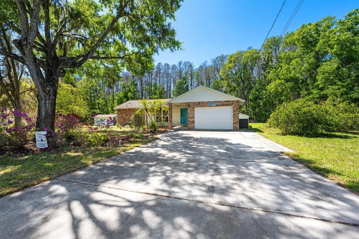 21823 Shamu Drive, Land O Lakes, FL 34639 - #1