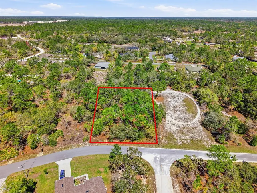 11155 Marsh Wren Avenue, Weeki Wachee, FL 34614 - #2