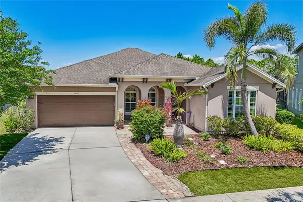 6651 Current Drive, APOLLO BEACH, FL 33572