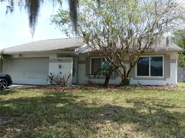 807 Jacaranda Drive, OLDSMAR, FL 34677