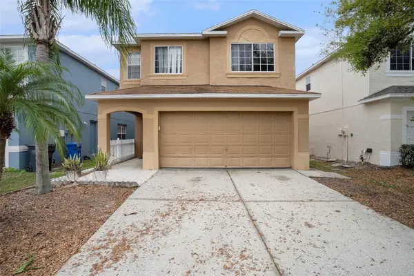 739 Burlwood Street, BRANDON, FL 33511