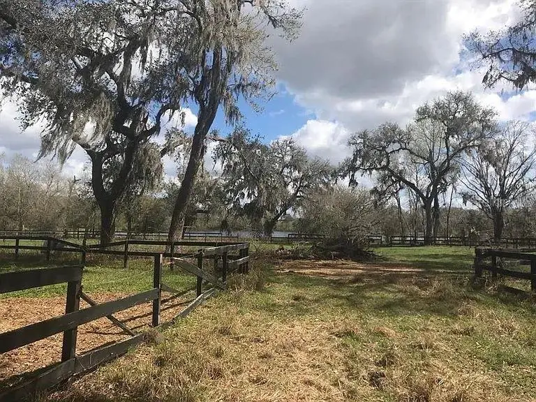 000 Palomino Lakes Dr, Dade City, FL 33523 - #1