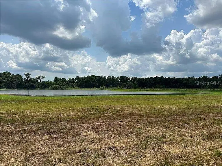 000 Palomino Lakes Dr, Dade City, FL 33523 - #3