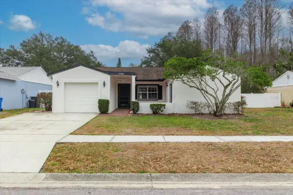 14003 Basin Street, TAMPA, FL 33625