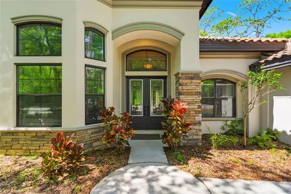 4120 Ridgemoor Drive, PALM HARBOR, FL 34685