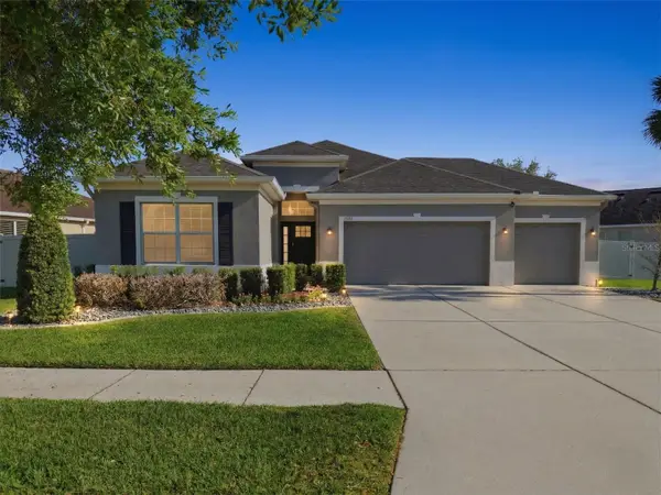 11133 Wembley Landing Drive, LITHIA, FL 33547