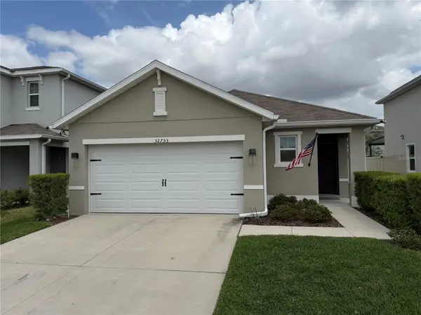 32753 Pez Landing Lane, WESLEY CHAPEL, FL 33543