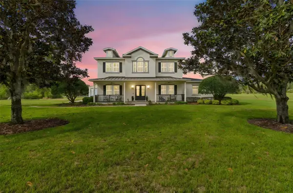 8603 Alafia Hills, PLANT CITY, FL 33567