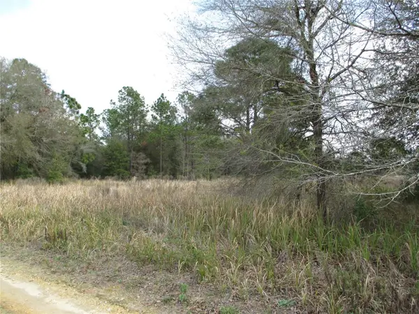 SW 24th Place, OCALA, FL 34481