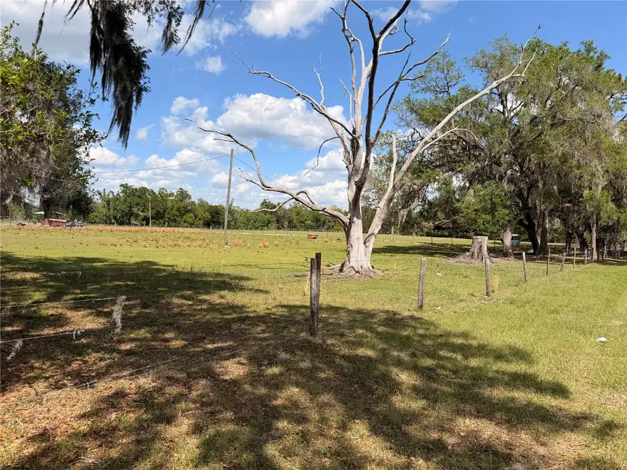 20512 Ramer Road, Dade City, FL 33523 - #3