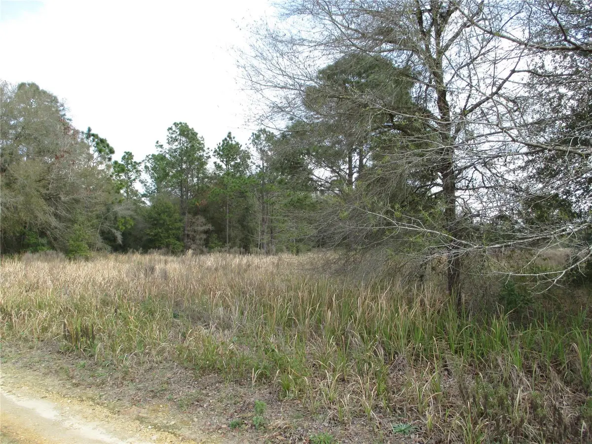 SW 24th, Ocala, FL 34481 - #1