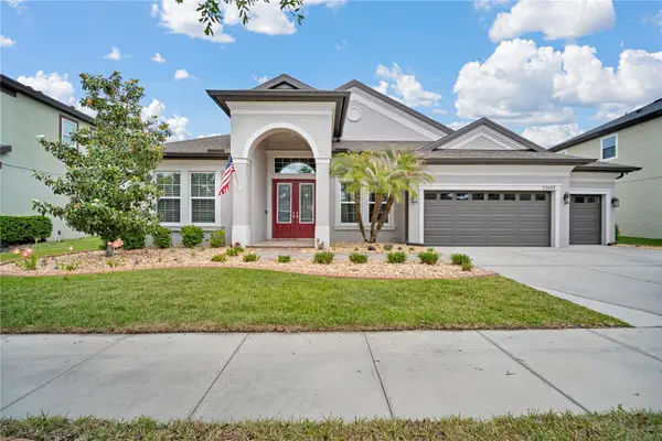 32697 Natural Bridge Road, WESLEY CHAPEL, FL 33543