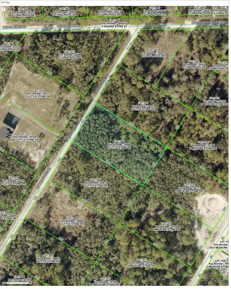 000 Little Stone Drive, Webster, FL 33597 - #1